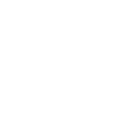 Raizen(Brasil)